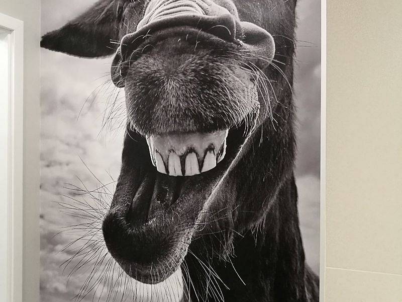 Nasze realizacje